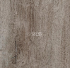 Кварцвиниловые полы Forbo Allura Decibel 8WHA02-3WHA02 dusky harvest oak фото 1 | FLOORDEALER